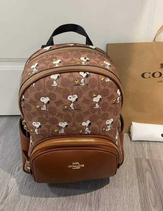 Picture of Coach Handbags _SKUfw231633700fw